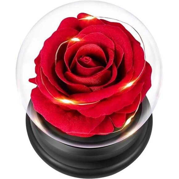 Preserved Rose Flower, Beauty and The Beast Rose Gifts for Women Mom Wife - Picture 7 of 7